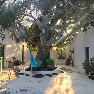 Patio Ii At Couette-café La Asomada (Lanzarote)